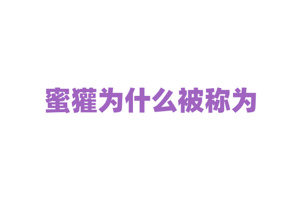 蜜獾为什么被称为 “平头哥”，它的勇敢无畏源自什么？